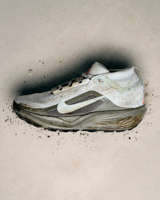 NIKE+ACG+PEGASUS+TRAIL+GTX.png
